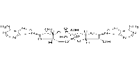 Cyclic di-AMP图片