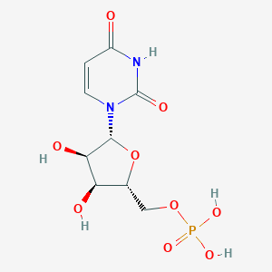 5'-尿苷酸图片