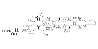 iRGD peptide图片