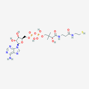3'-O-dephosphono-coenzyme A图片