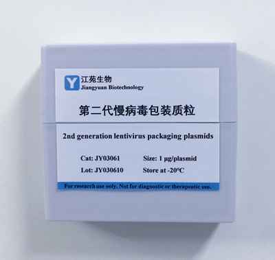 全套二代慢病毒包装质粒(三质粒系统)图片