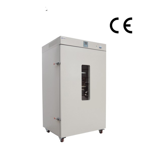 DHG-91000A 1000升立式干燥箱图片