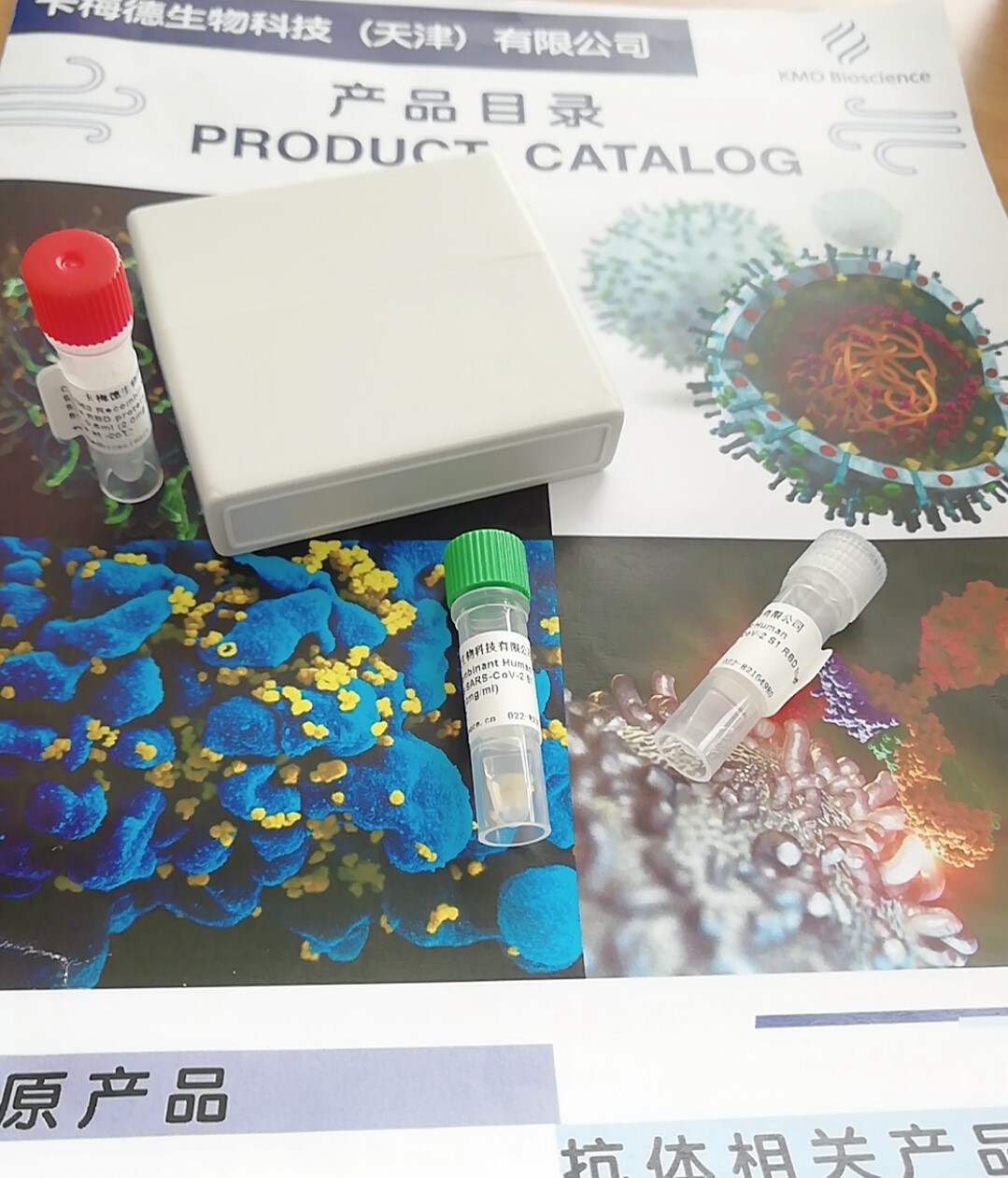 Mouse Anti-Human AFP Monoclonal Antibody (Detection)图片