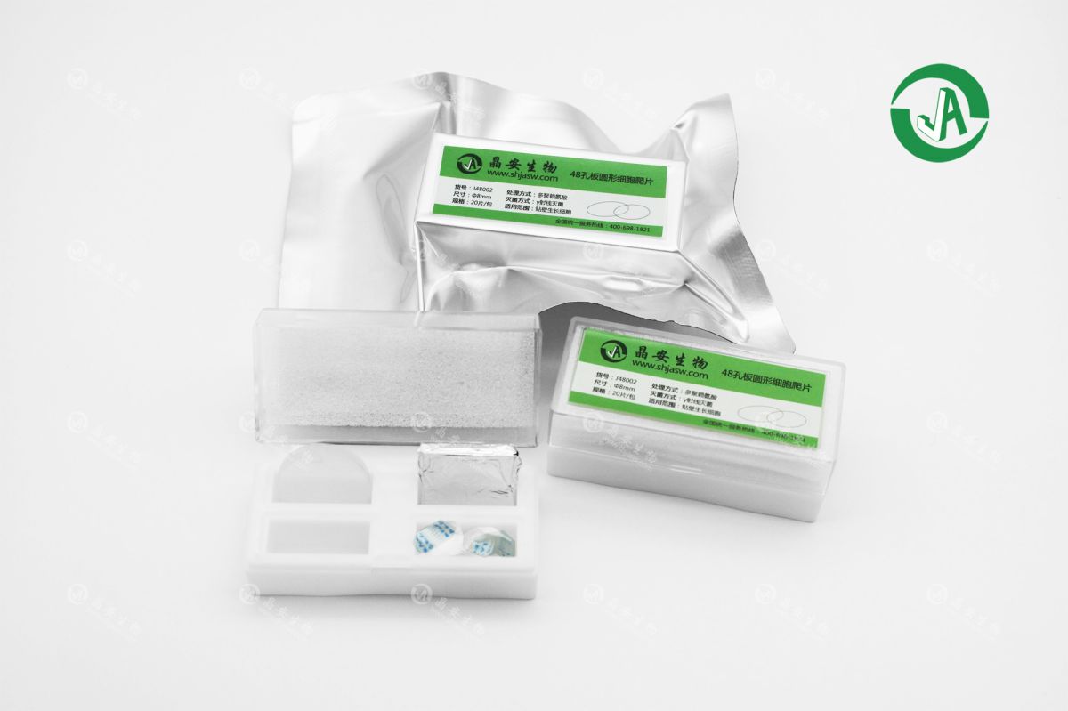 细胞爬片3 拷贝.png