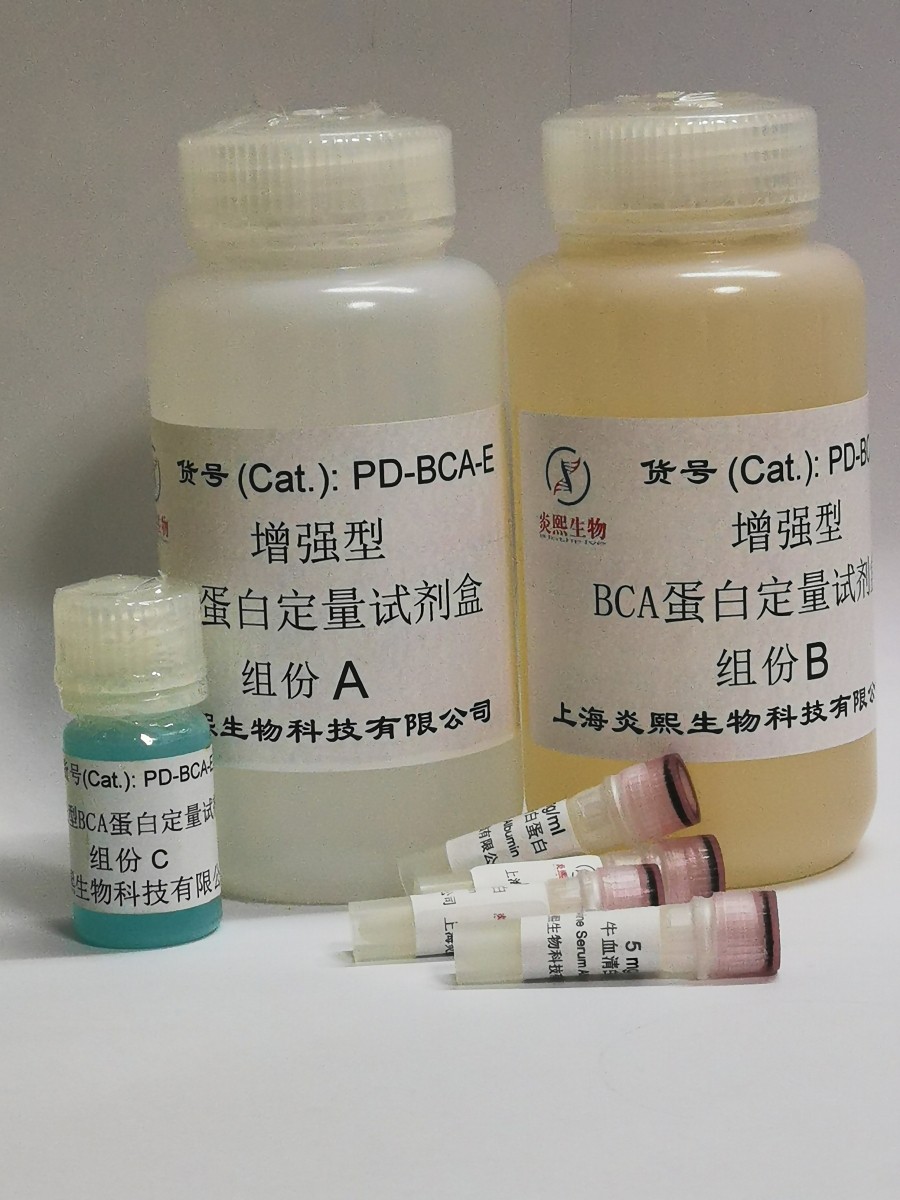 增强型BCA蛋白定量试剂盒图片