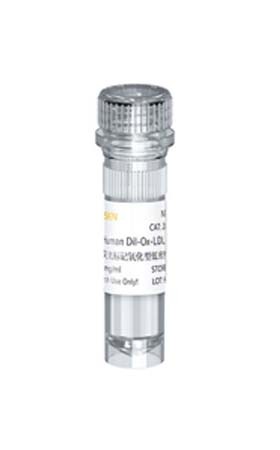 重组CYB561蛋白图片