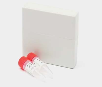 重组CYLC2蛋白图片