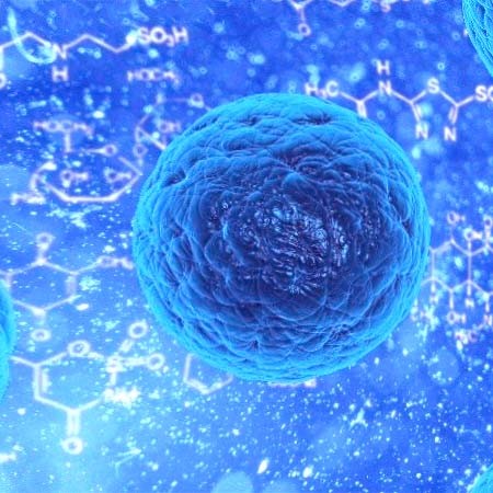 重组WASHC3蛋白图片