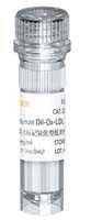 重组ECHDC1蛋白图片