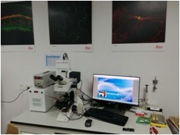 MSP-6000A数字煤岩分析系统图片
