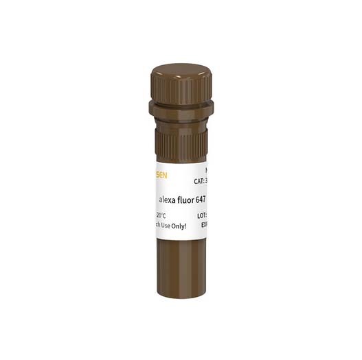 Dickkopf样蛋白1(DKKL1)抗体图片