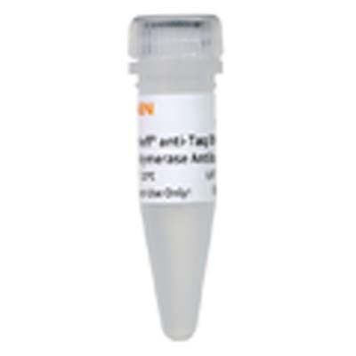 胞浆多聚A结合蛋白1样蛋白(PABPC1L)抗体图片