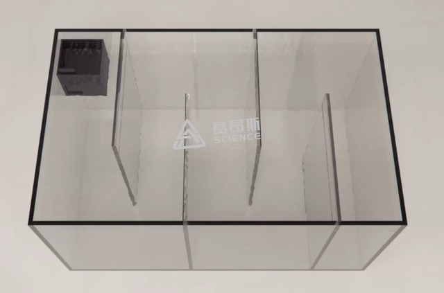 SA621斑马鱼社交性图片