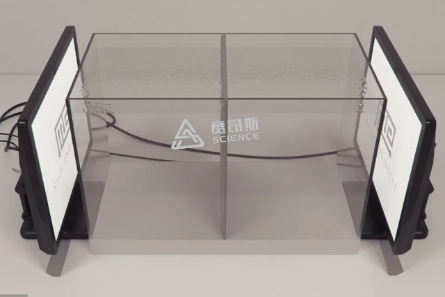 SA613斑马鱼穿梭箱图片