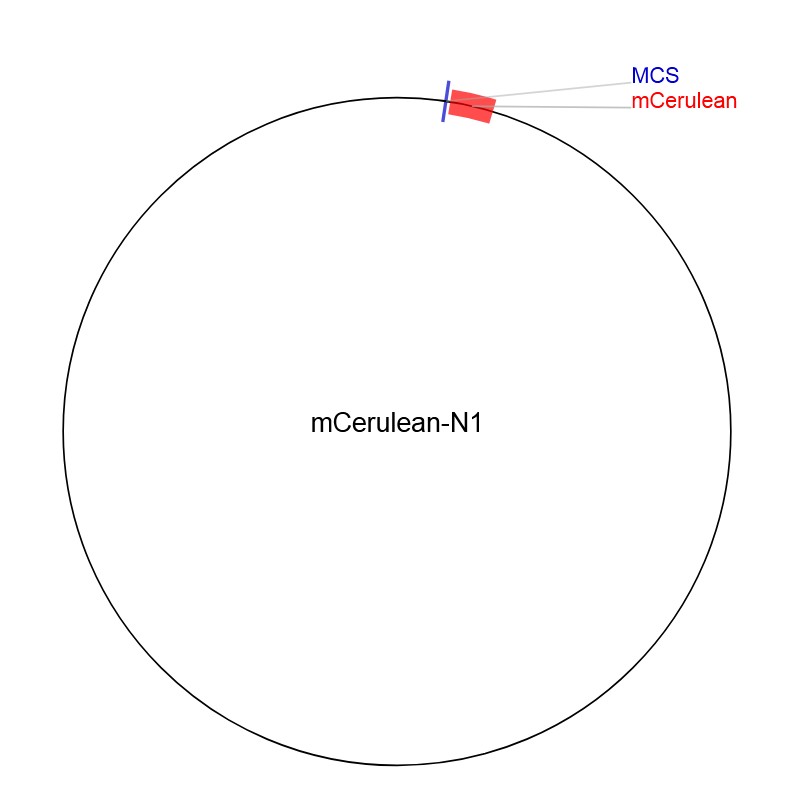 mCerulean-N1图片