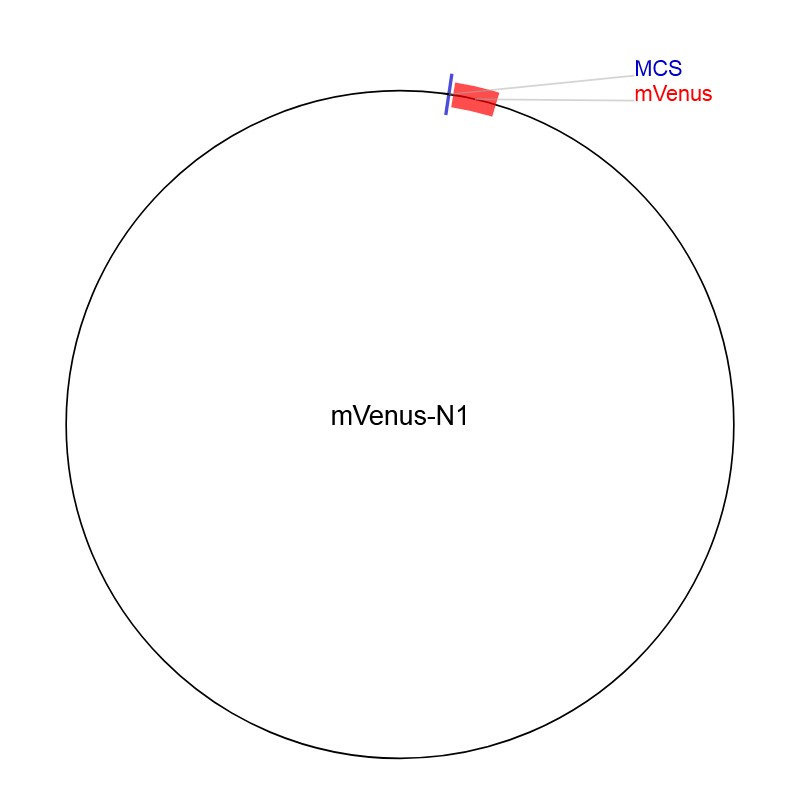 mVenus-N1图片