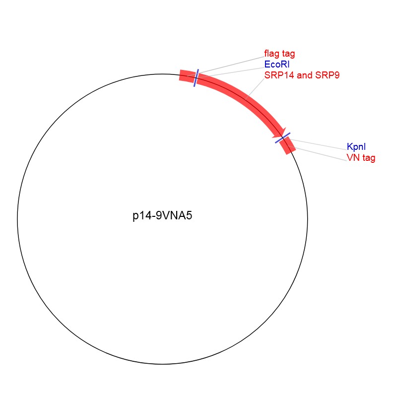 p14-9VNA5图片