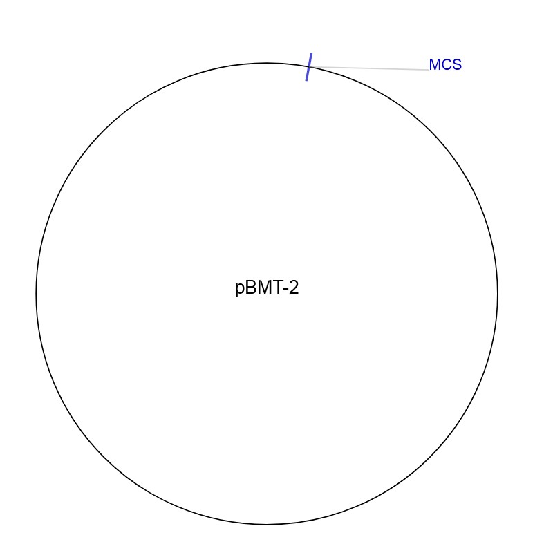 pBMT-2图片