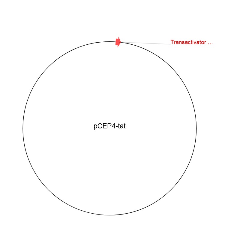 pCEP4-tat图片