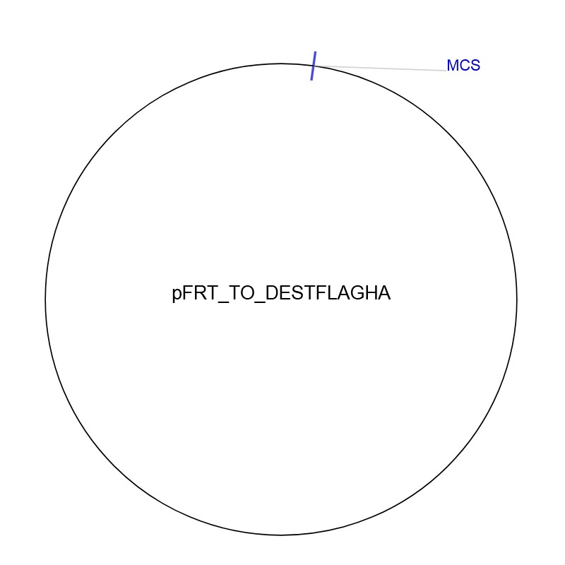 pFRT-TO-DESTFLAGHA图片