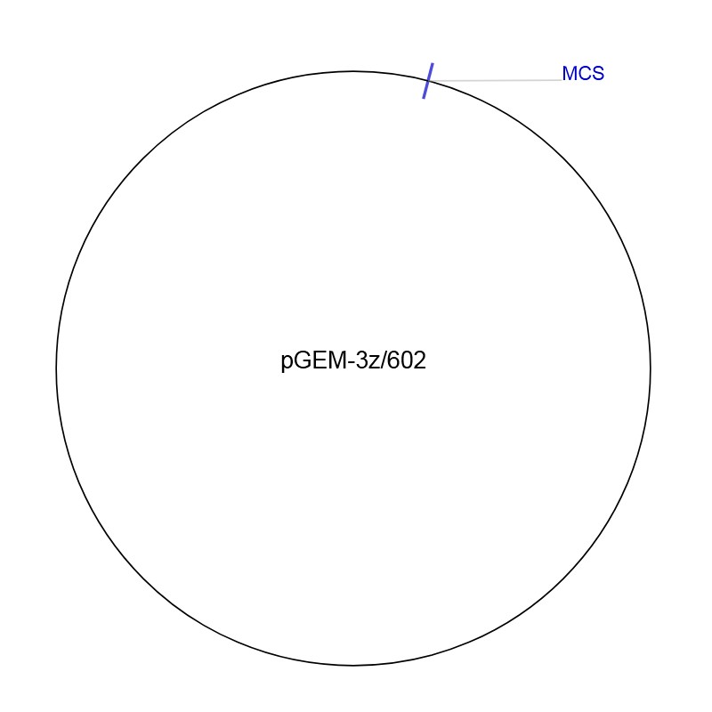 pGEM-3z/602图片