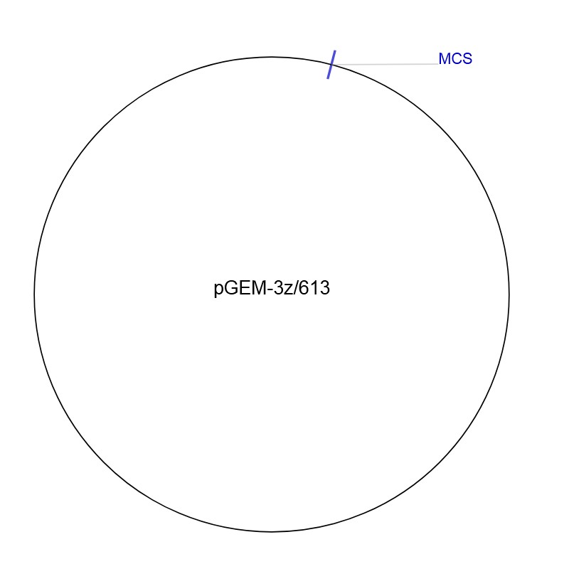 pGEM-3z/613图片