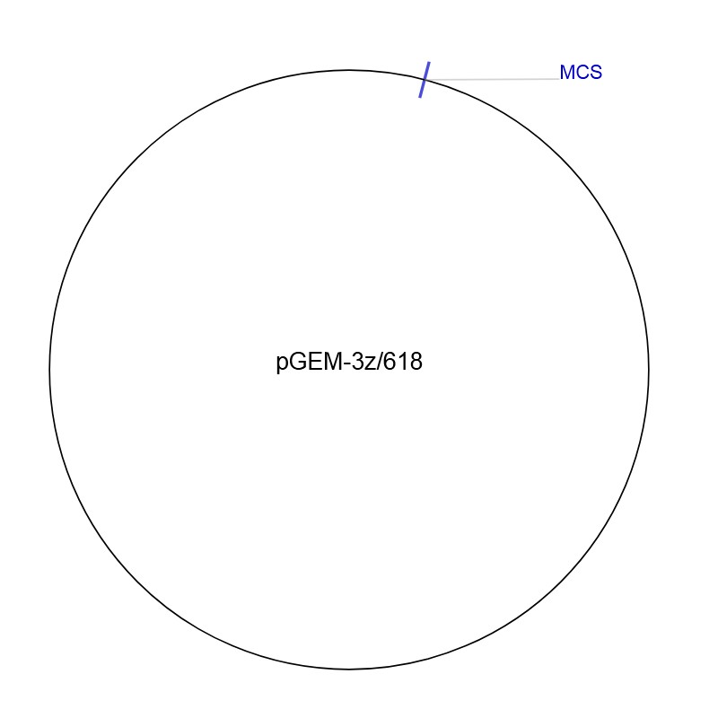 pGEM-3z/618图片