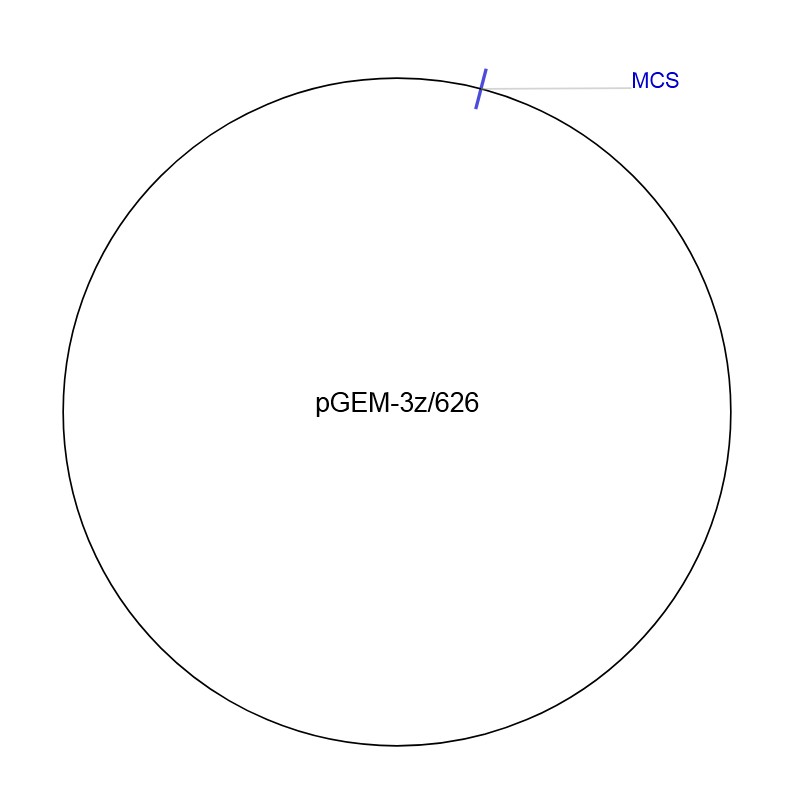 pGEM-3z/626图片