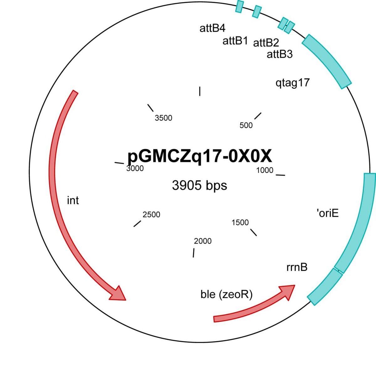 pGMCZq17-OXOX图片
