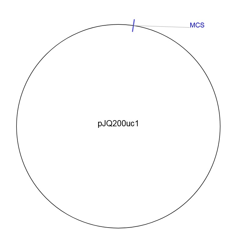 pJQ200uc1图片
