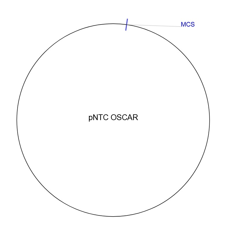 pNTC OSCAR图片