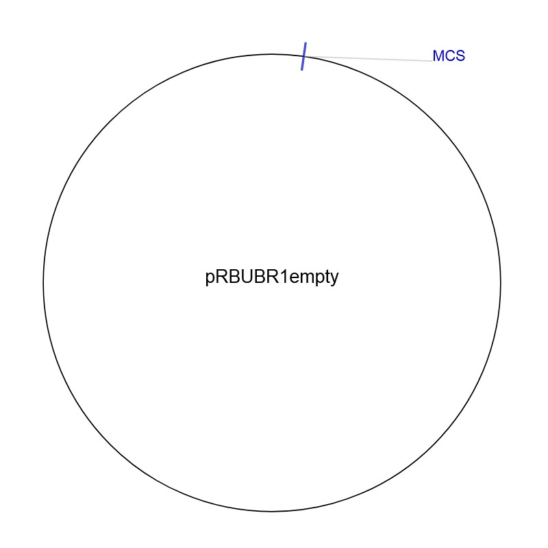 pRBUBR1empty图片