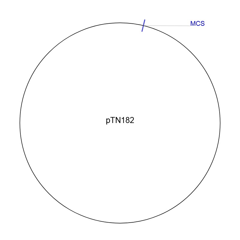 pTN182图片