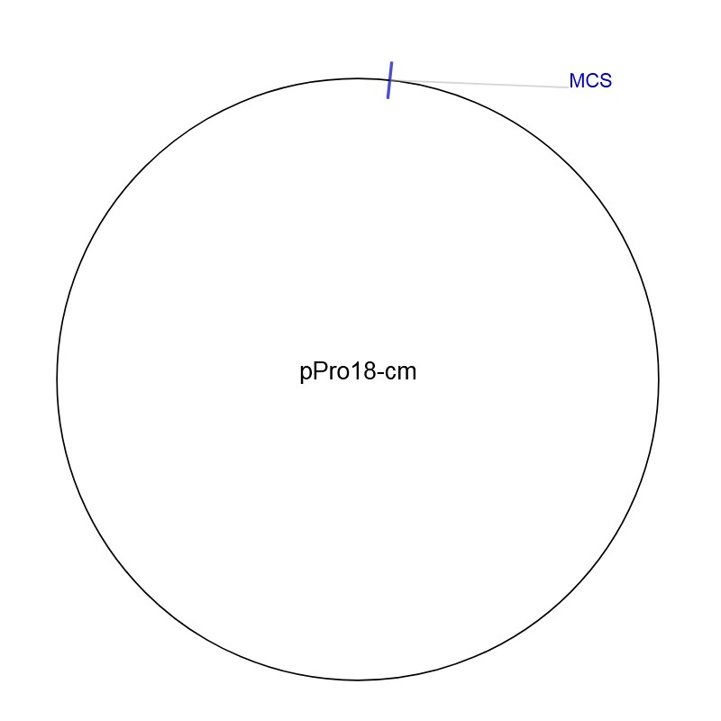pPro18-cm图片