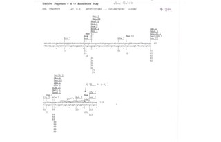 pSLAX13 HA His (CT#244)图片