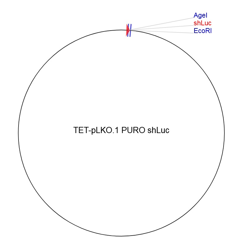 TET-pLKO.1 PURO shLuc图片