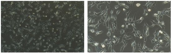 1711590132758077922.png 图片.png