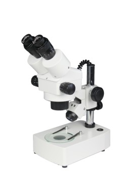XTL-2400体视显微镜图片