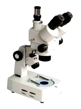 XTL-3300体视显微镜图片