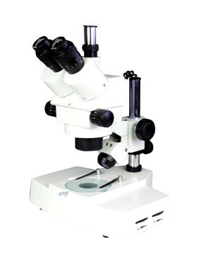 XTL-3400D体视显微镜图片