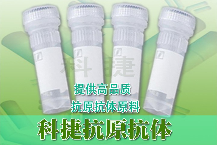 二甲戊灵单克隆抗体图片