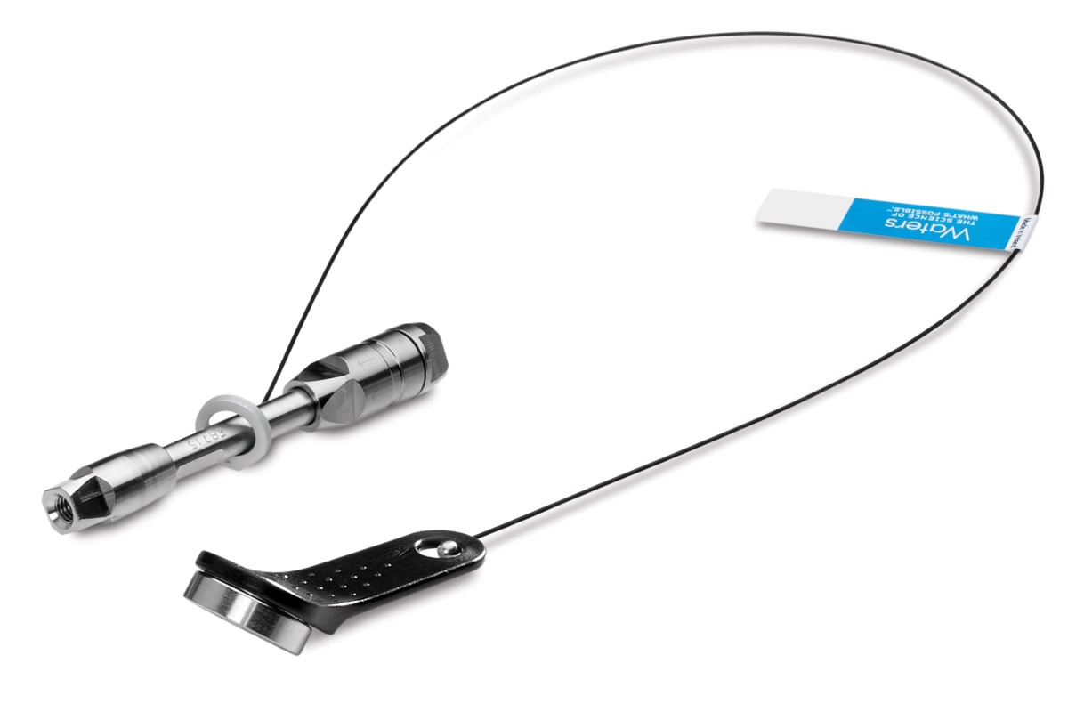 ACQUITY Premier Glycan BEH C18 AX, 95Å, 1.7 µm, VanGuard FIT 2.1 x 50 mm Column, 1/pk图片