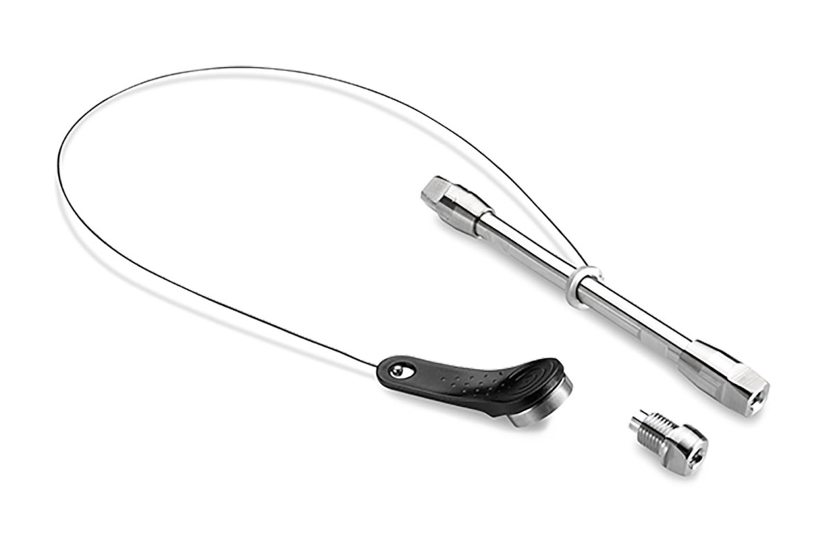 BioResolve SCX mAb Column with VanGuard FIT, 3 µm, 2.1 mm x 50 mm, 1/pk with mAb Charge Variant Standard图片