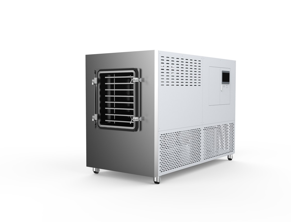 LGJ-200FG原位硅油冷冻干燥机(标准型)图片