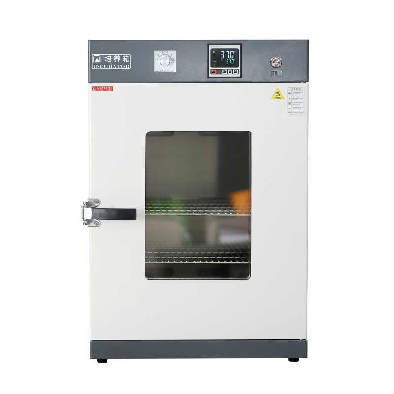 DNP-9902电热恒温培养箱图片