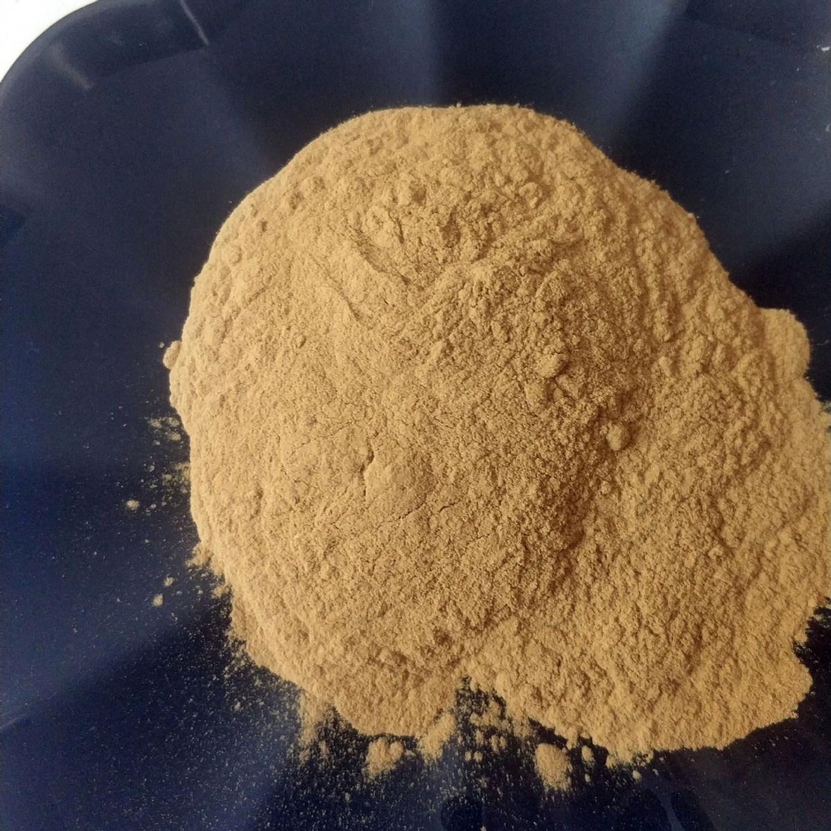 白芷提取物图片