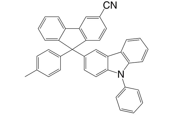 CzFCN图片