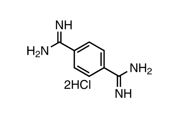 Terephthalimidamide dihydrochloride图片