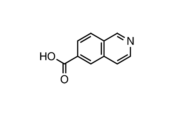 6-Isoquinolinecarboxylic acid图片