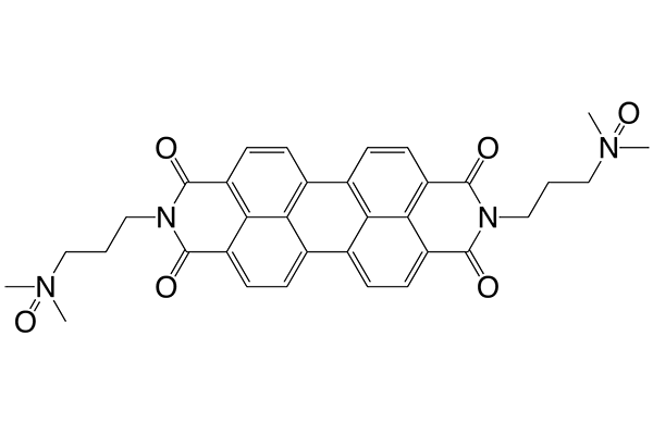 PDINO图片